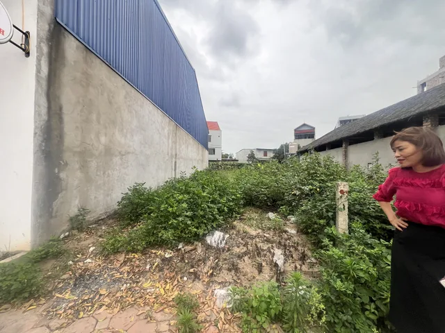 Bất động sản tại Hưng Yên - ảnh 1