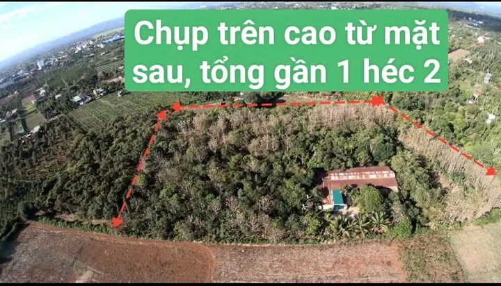 Bất động sản tại Đắk Lắk - ảnh 1
