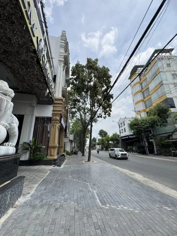 Bất động sản tại Bình Dương - ảnh 1