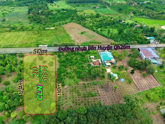 Bất động sản tại Đắk Lắk - ảnh 1