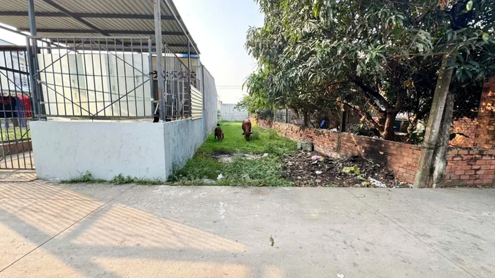 Bất động sản tại Tây Ninh - ảnh 1