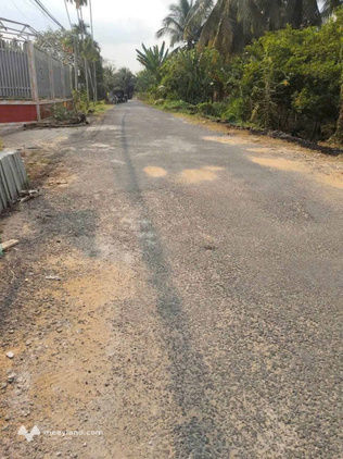 Bất động sản tại Bến Tre - ảnh 1