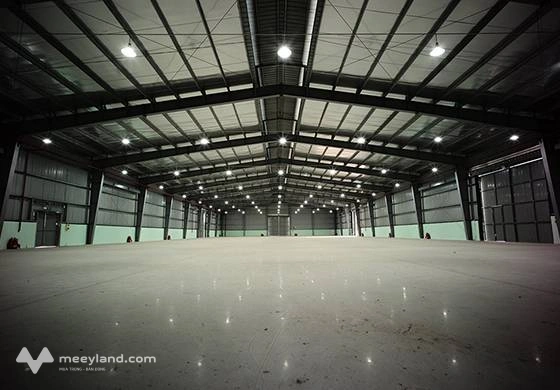 Bất động sản tại Long An - ảnh 1