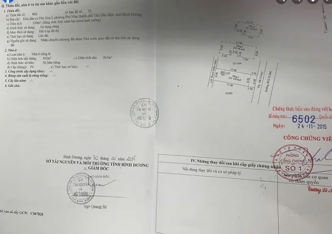 Bất động sản tại Bình Dương - ảnh 1