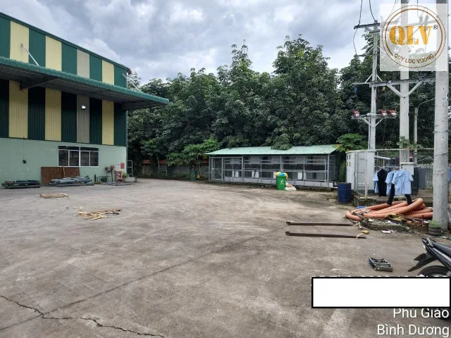 Bất động sản tại Bình Dương - ảnh 1