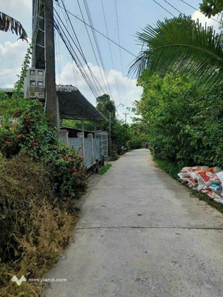 Bất động sản tại Đồng Tháp - ảnh 1