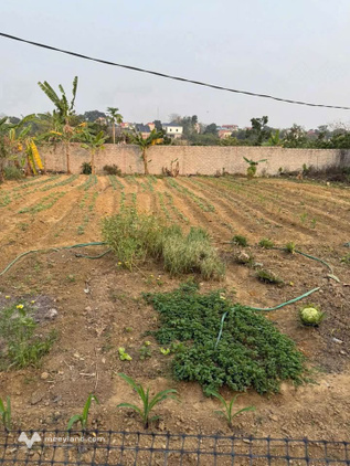 Bất động sản tại Bắc Giang - ảnh 1