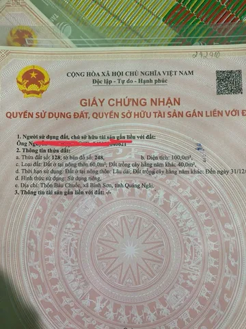 Bất động sản tại Quảng Ngãi - ảnh 1