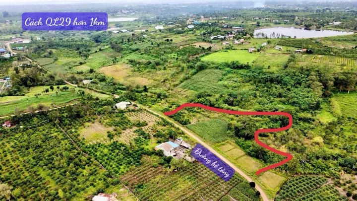 Bất động sản tại Đắk Lắk - ảnh 1