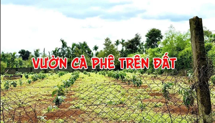 Bất động sản tại Đắk Lắk - ảnh 1