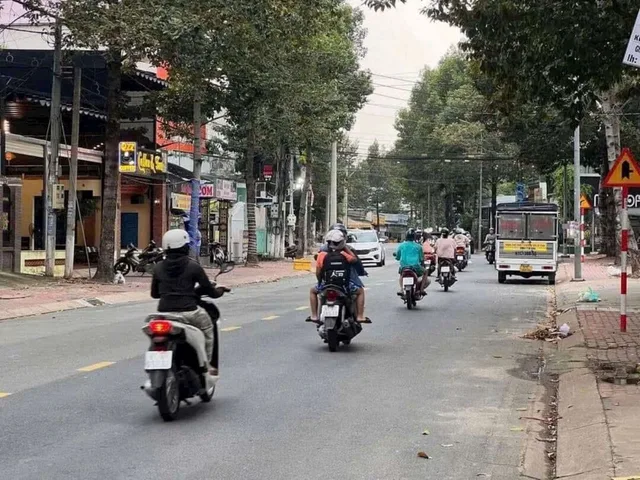 Bất động sản tại Bình Dương - ảnh 1