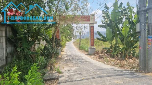 Bất động sản tại Long An - ảnh 1