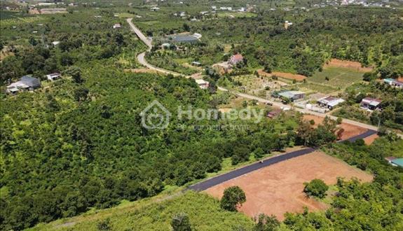 Bất động sản tại Lâm Đồng - ảnh 1