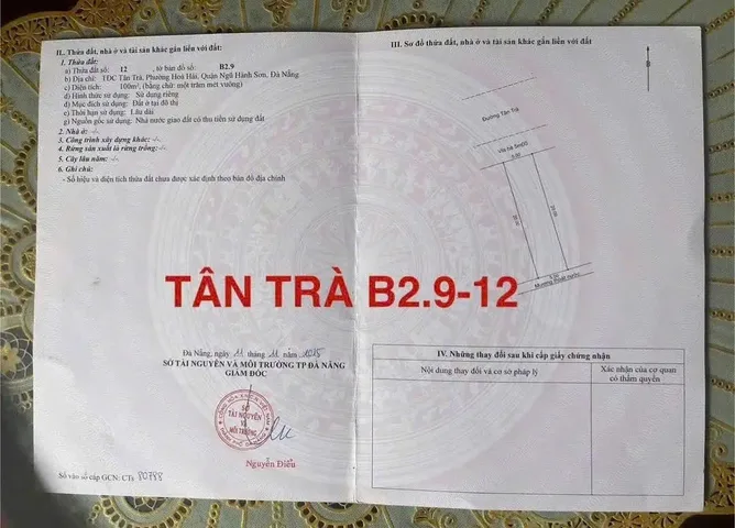 Bất động sản tại Đà Nẵng - ảnh 1