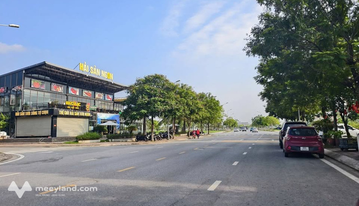 Bất động sản tại Vĩnh Phúc - ảnh 1