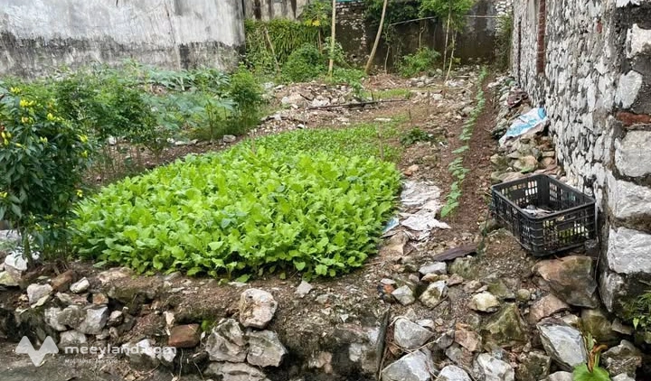 Bất động sản tại Hà Nam - ảnh 1