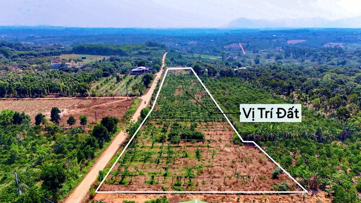 Bất động sản tại Đắk Lắk - ảnh 1