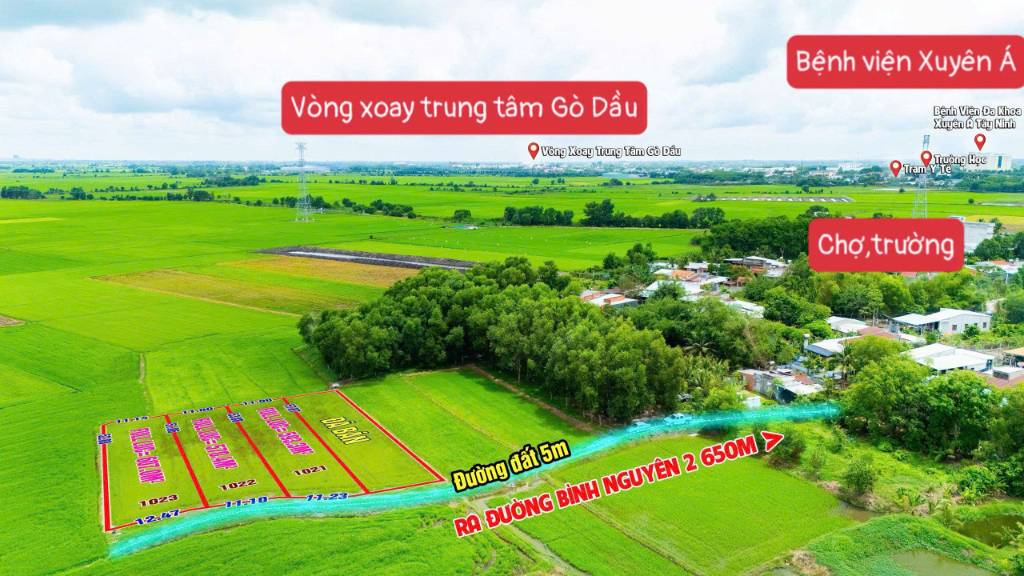 Bất động sản tại Tây Ninh - ảnh 1