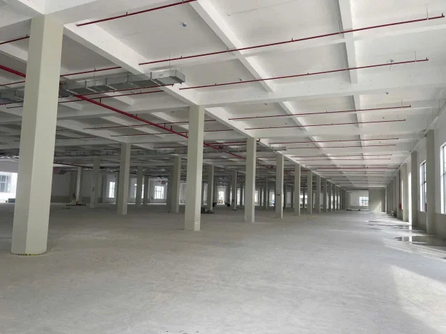 Bất động sản tại Bình Dương - ảnh 1