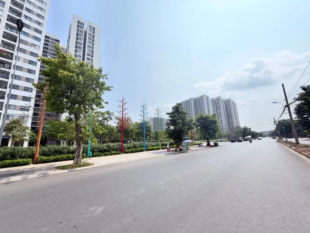 Bất động sản tại TP. Hồ Chí Minh - ảnh 1