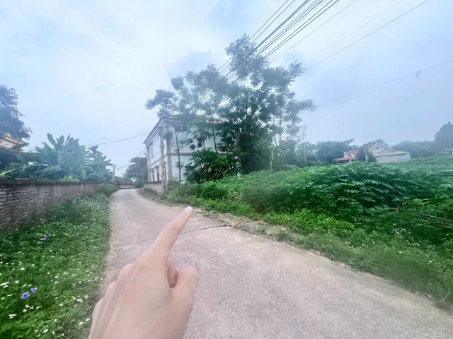 Bất động sản tại Phú Thọ - ảnh 1