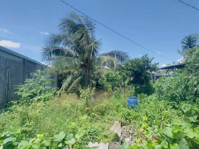 Bất động sản tại Tây Ninh - ảnh 1