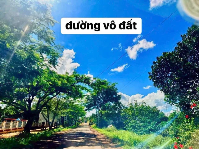 Bất động sản tại Đắk Lắk - ảnh 1