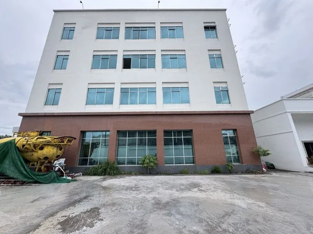 Bất động sản tại Bình Dương - ảnh 1
