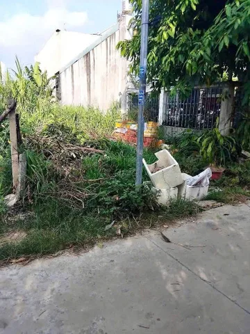 Bất động sản tại Bình Dương - ảnh 1