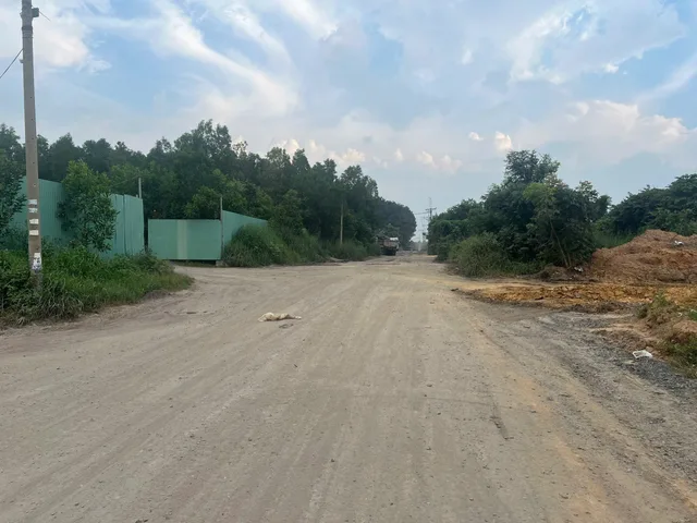 Bất động sản tại Đồng Nai - ảnh 1