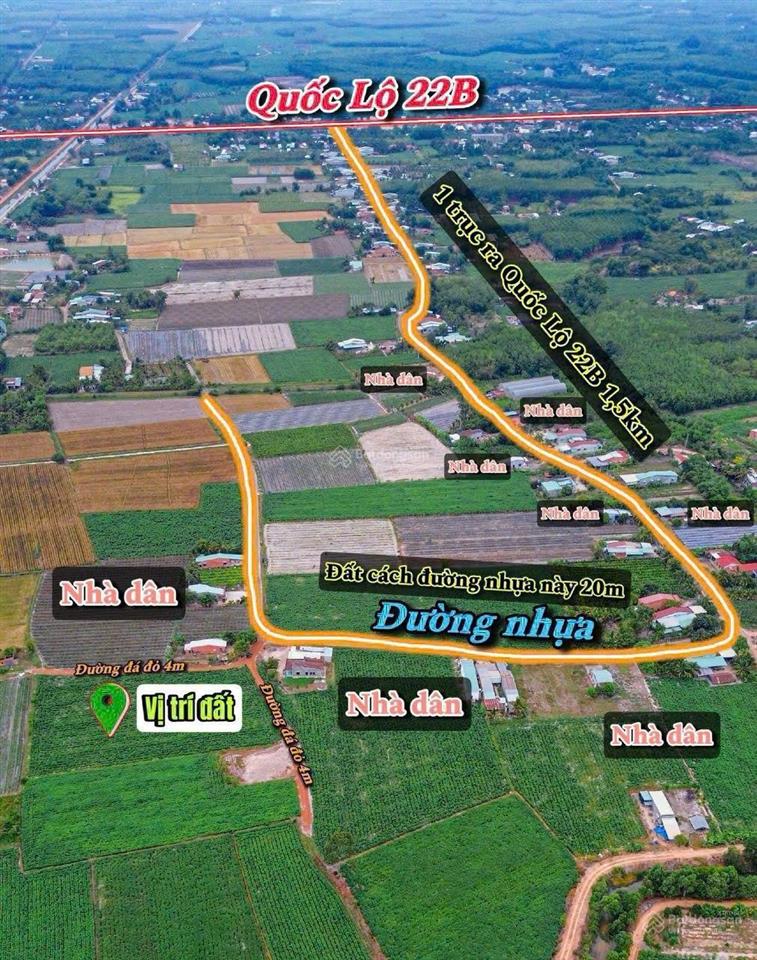 Bất động sản tại Tây Ninh - ảnh 1