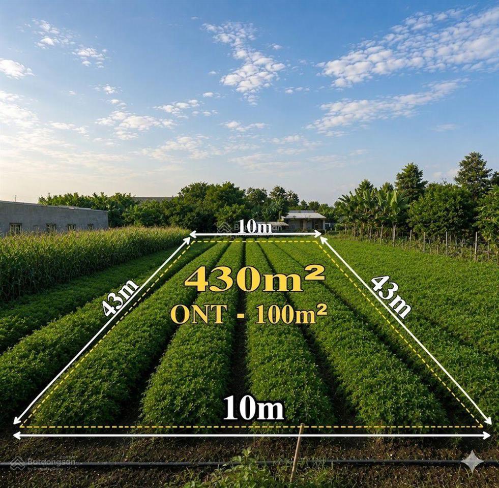 Bất động sản tại Bà Rịa - Vũng Tàu - ảnh 1