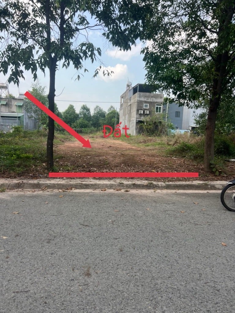 Bất động sản tại Bình Dương - ảnh 1