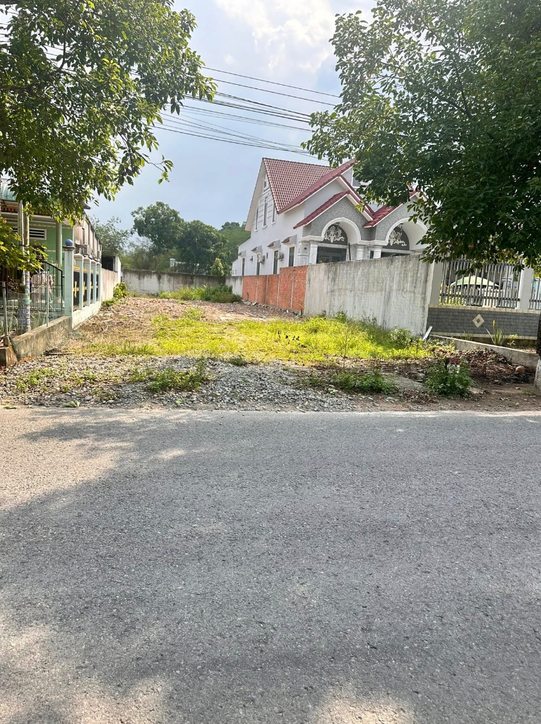 Bất động sản tại Bình Dương - ảnh 1