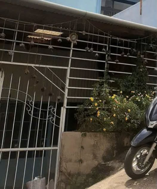 Bất động sản tại Lâm Đồng - ảnh 1