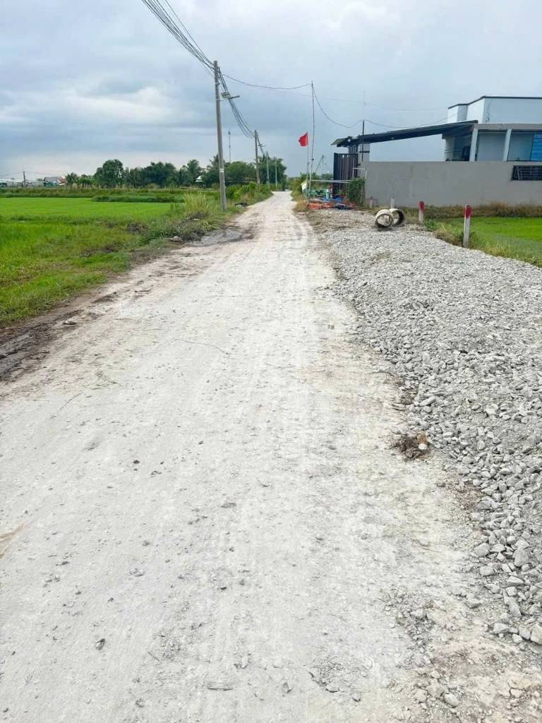 Bất động sản tại Long An - ảnh 1