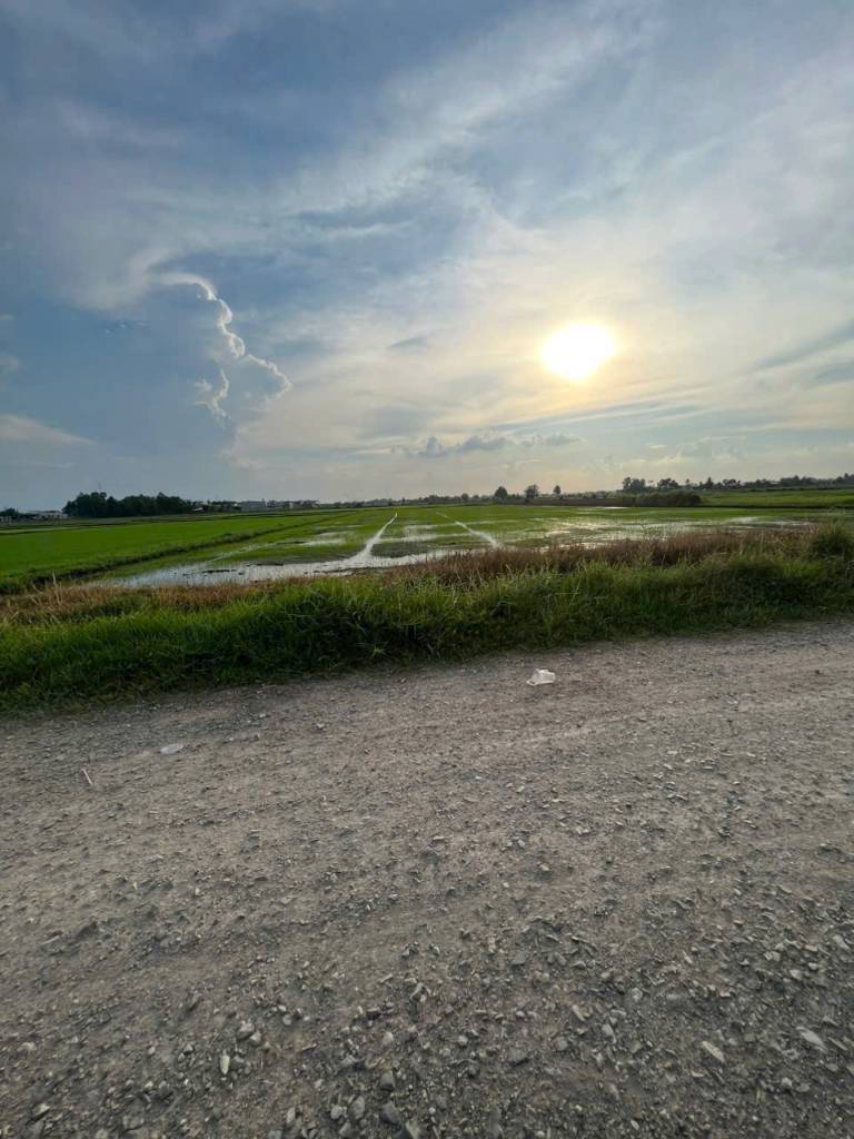Bất động sản tại Long An - ảnh 1