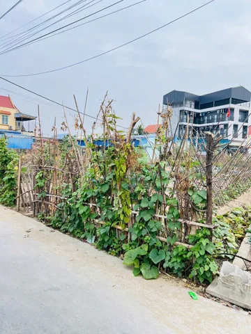Bất động sản tại Hải Phòng - ảnh 1