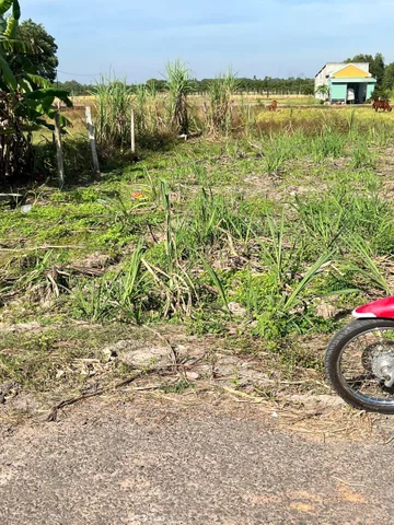 Bất động sản tại Tây Ninh - ảnh 1
