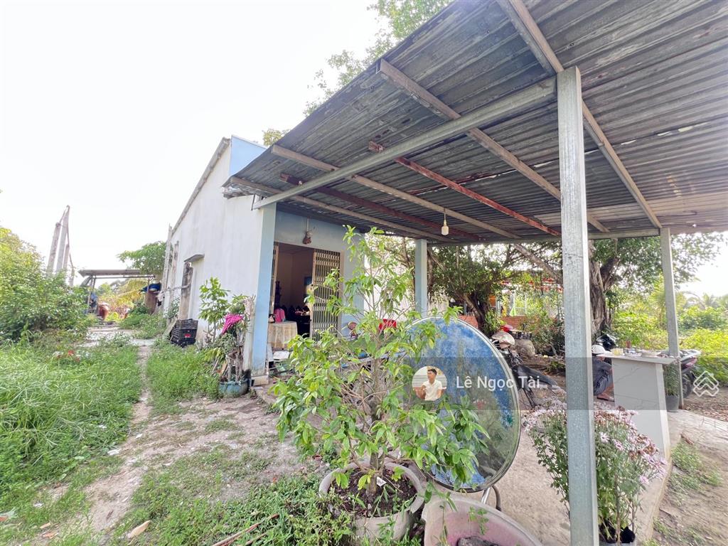 Bất động sản tại Long An - ảnh 1