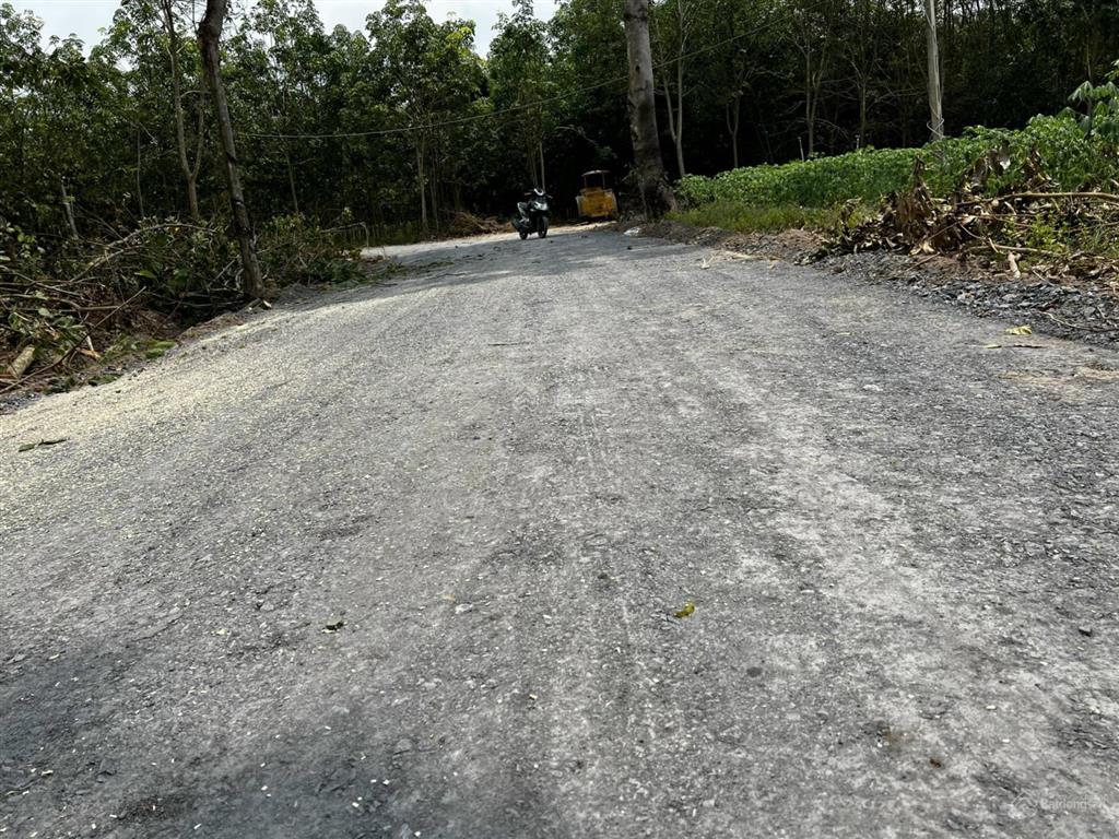 Bất động sản tại Tây Ninh - ảnh 1