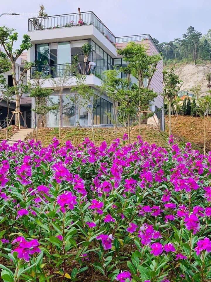 Bất động sản tại Vĩnh Phúc - ảnh 1