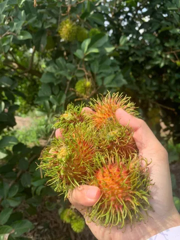 Bất động sản tại Đồng Nai - ảnh 1