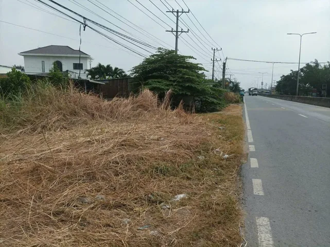Bất động sản tại Long An - ảnh 1