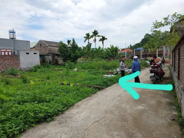 Bất động sản tại Hải Phòng - ảnh 1