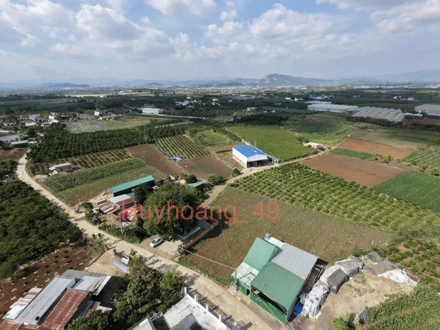 Bất động sản tại Lâm Đồng - ảnh 1