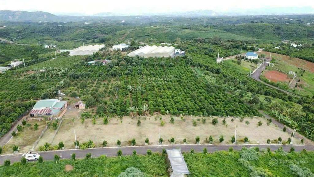 Bất động sản tại Lâm Đồng - ảnh 1