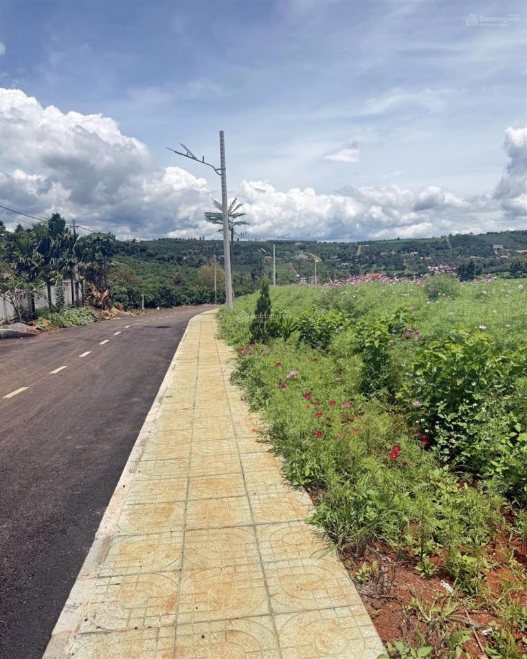 Bất động sản tại Lâm Đồng - ảnh 1