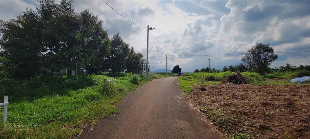 Bất động sản tại Lâm Đồng - ảnh 1