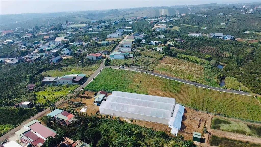 Bất động sản tại Lâm Đồng - ảnh 1